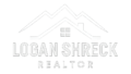 loganshreckdurango.com